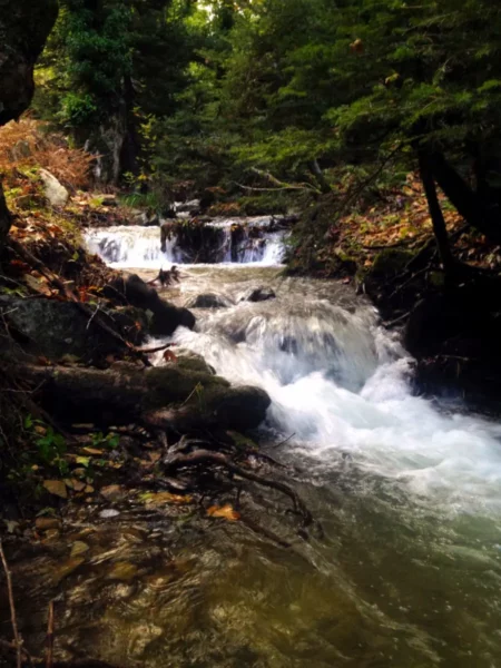 Flowing water cascades through a lush green forest, with smooth rocks and vibrant foliage near Xerovouni.