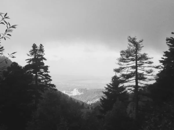 Lush greenery and tall trees frame a scenic view of Xerovouni, with distant mountains shrouded in clouds.