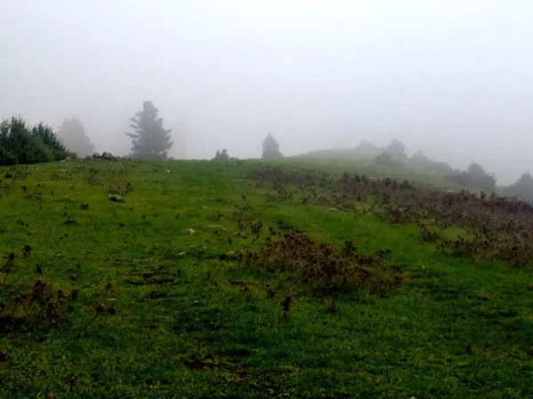 Lush green hillside covered in fog at Xerovouni, showcasing the serene atmosphere and natural beauty of the landscape.