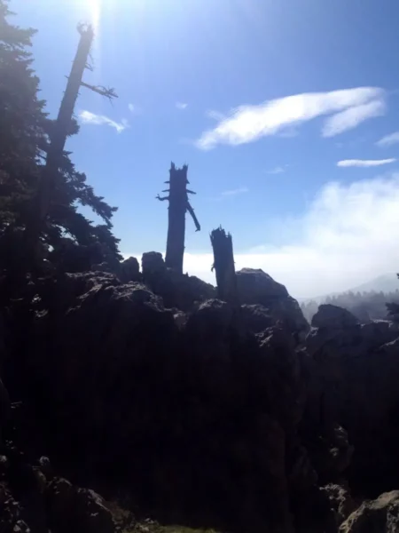Barren tree silhouettes against a blue sky at Xerovouni, framed by rocky outcrops and misty valleys below.