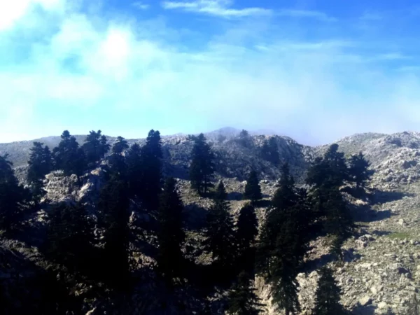 Majestic mountain terrain featuring lush green pine trees against a backdrop of rocky slopes at Xerovouni.