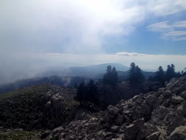 Dramatic rocky landscape with misty mountains and scattered pines at Xerovouni, showcasing a serene natural vista.