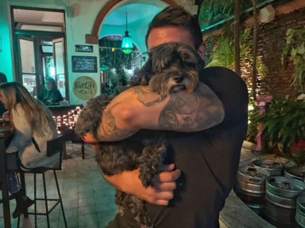man holding a Miniature Schnauzer in front of his face in a bar of san telmo, buenos aires