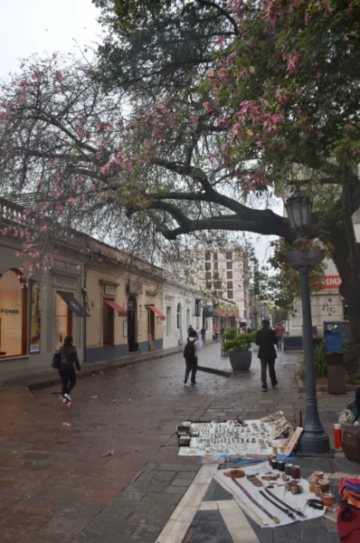 Colorful vendor stalls line a cobblestone street in Córdoba, Argentina, with blooming trees and shoppers enjoying the scene.
