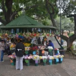 florist's kiosk in the old town of cordoba, argentina