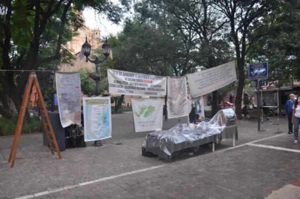 Banners and signs decorate a cobblestone street in Córdoba, Argentina, surrounded by trees and casual pedestrians.