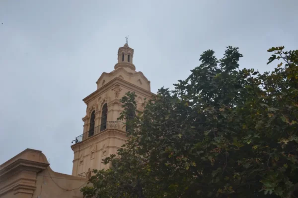 Historic architecture peeks through lush greenery in Córdoba, Argentina, showcasing a bell tower framed by vibrant foliage.