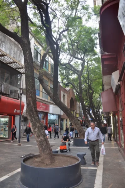 Lush trees line the vibrant street filled with pedestrians and shops in Córdoba, Argentina, creating a lively urban atmosphere.