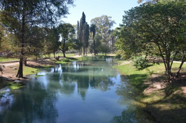 Lush green trees reflect in the tranquil waters of the river, creating a serene landscape in Córdoba, Argentina.