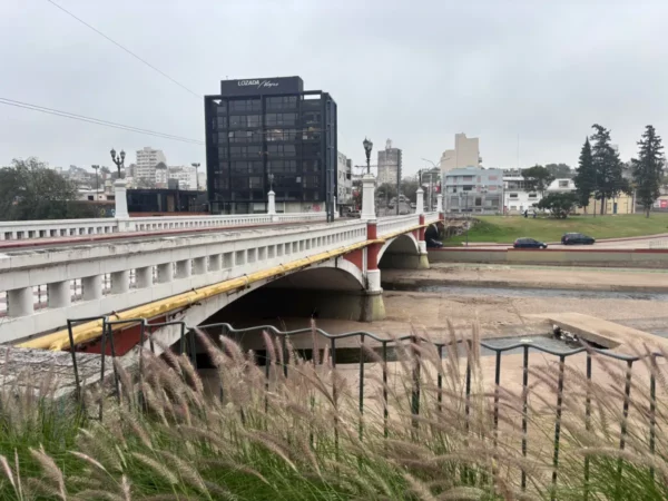 Bridges over the river with modern buildings in Cordoba, Argentina, featuring a cloudy sky and tall grasses in the foreground.