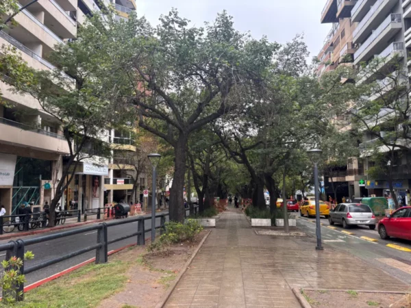 Lush trees line the sidewalk of Cordoba city, Argentina, with colorful buildings and cars adding to the urban landscape.