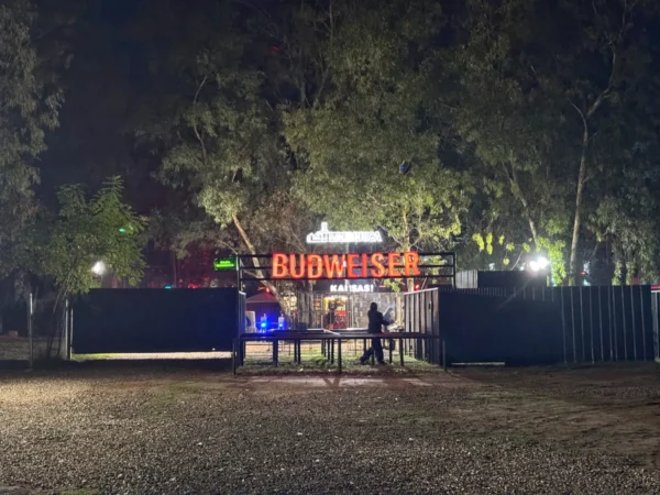 Budweiser sign glowing at night amidst trees in Córdoba, Argentina, creating a vibrant atmosphere for visitors.