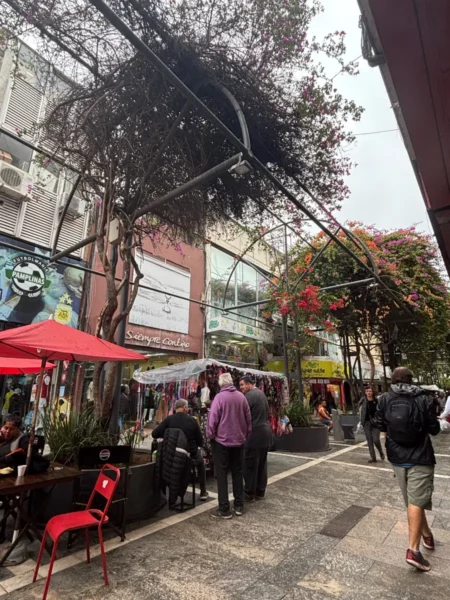 Vibrant street scene in Córdoba, Argentina, featuring colorful market stalls, plants, and people enjoying the outdoor atmosphere.