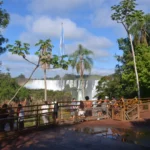 people marveling at iguazu falls from viewpoint with argentinian flag
