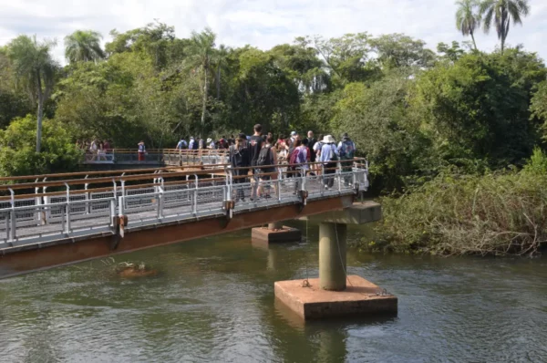 The path to the Devil’s Mouth at iguazu waterfall, argentina