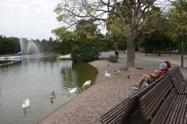 benches by duck pond in independence park in rosario, argentina