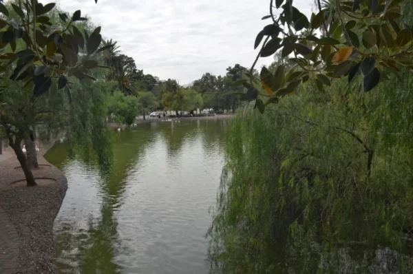 Lush greenery and willows frame a serene waterway in Rosario, Santa Fe, Argentina, reflecting a tranquil, cloudy sky.