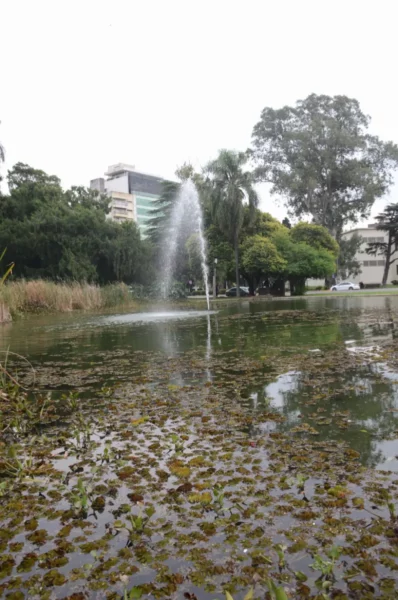 Fountain sprays water into a tranquil pond surrounded by lush greenery in Rosario, Santa Fe, Argentina.