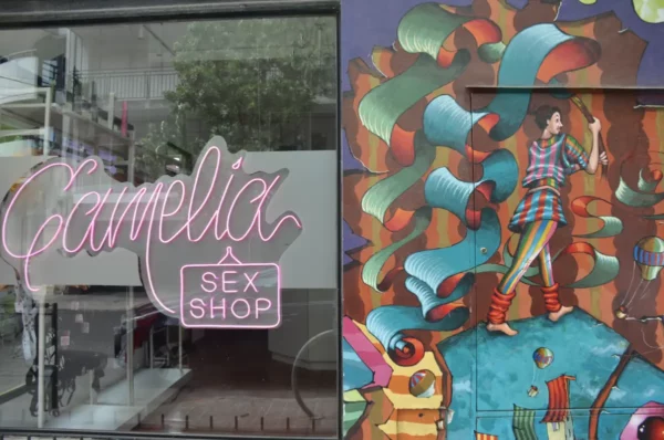Camelia Sex Shop features bright neon signage against a colorful mural depicting a person amidst vibrant swirls in Rosario, Argentina.