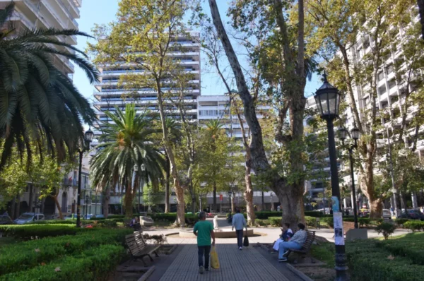 Lush greenery and palm trees frame the plaza in Rosario, Santa Fe, Argentina, with modern buildings rising in the background.
