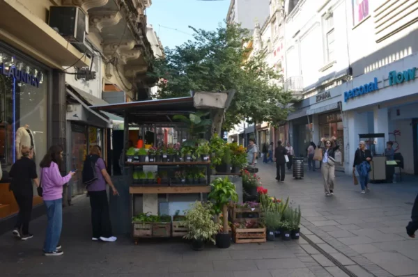Vibrant flower stand adorns a bustling street in Rosario, Santa Fe, with people shopping and exploring nearby shops.