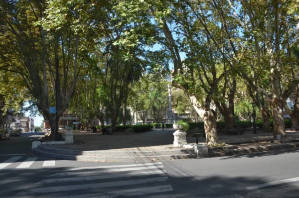 Lush green trees line a peaceful square in Rosario, Santa Fe, Argentina, creating a serene urban oasis.