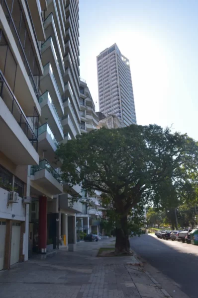 Tall buildings line the street in Rosario, Santa Fe, Argentina, with a large tree providing shade on the sidewalk.