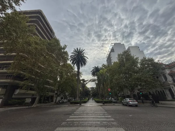 Lush palm trees line a broad avenue in Rosario, Santa Fe, Argentina, under a textured, cloudy sky. Urban buildings flank the street.