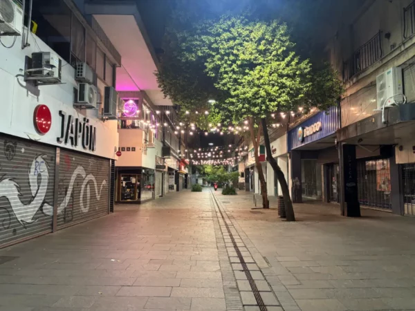 Empty street adorned with string lights and trees in Rosario, Santa Fe, Argentina, showcasing a peaceful nighttime ambiance.