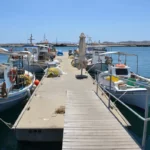 Fishing boats in the port of Karystos, evia island