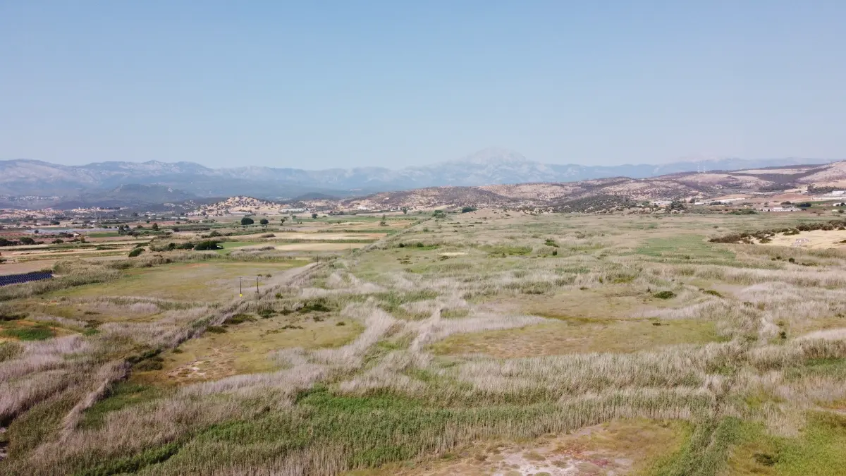 drone view of kolovrechtis wetland on evia island, greece
