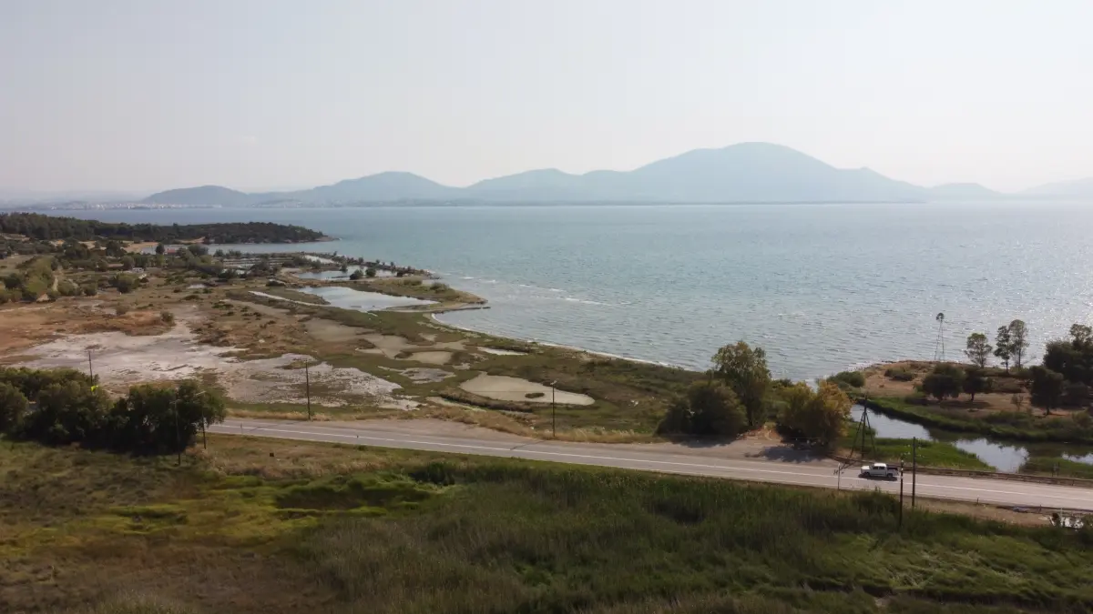 View of the North Euboean Gulf beyond Kolovrechtis wetland