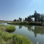 The estuary of River Messapios in Kolovrechtis wetland in evia island