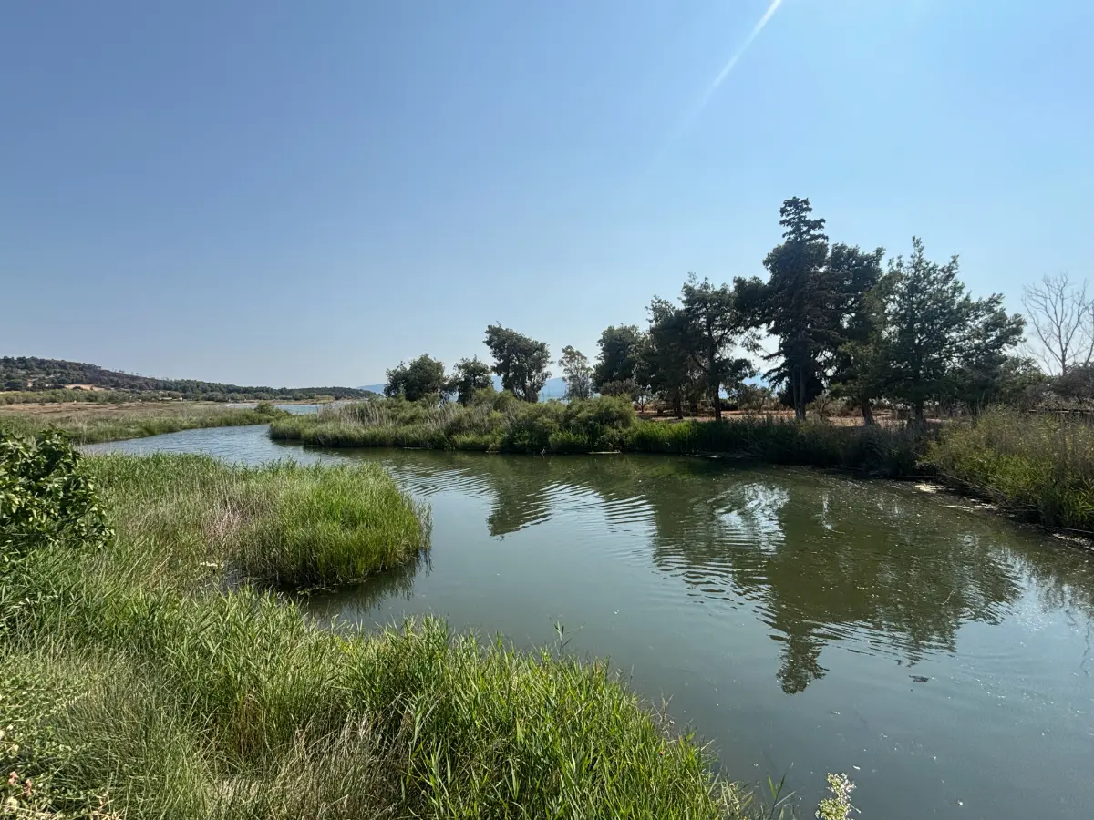 The estuary of River Messapios in Kolovrechtis wetland in evia island