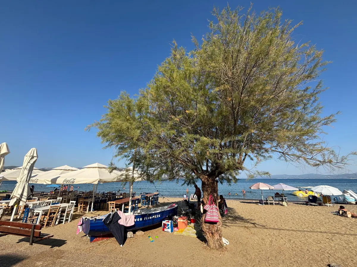 Lefkandi beach in the summer