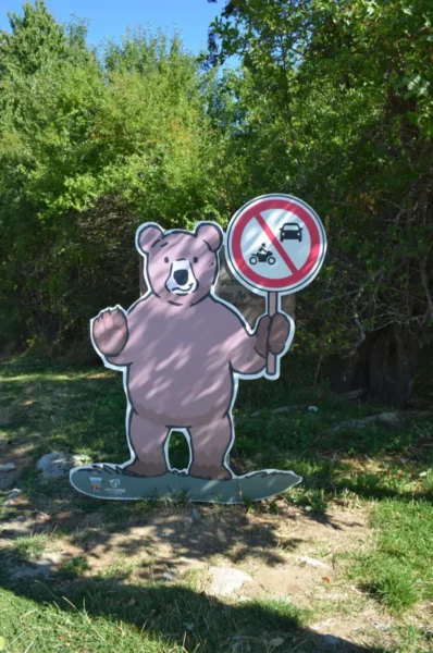 Illustrated bear figure holding a “no vehicles” sign along a forest path at the Arcturos sanctuary near Nymfaio, marking restricted access within the protected area.