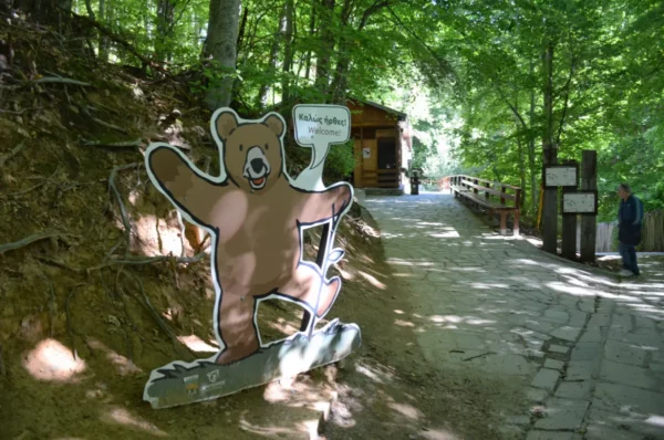A playful bear statue welcomes visitors to the Arcturos Bear Conservation Area in Florina, Greece, surrounded by lush greenery.