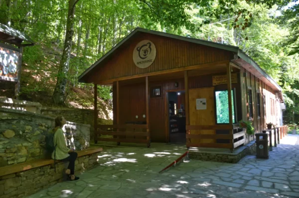 Wooden Arcturos Bear Sanctuary visitor center near Nymfaio, Florina, set along a stone-paved path in a shaded beech forest, with the entrance and informational signage visible.