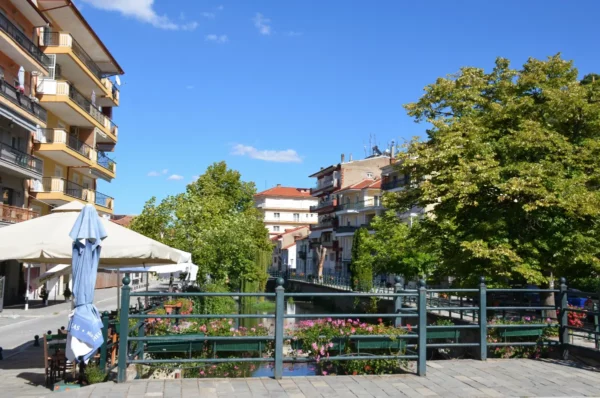Charming streets of Florina city, Greece, with vibrant greenery, colorful buildings, and a clear blue sky creating a picturesque scene.