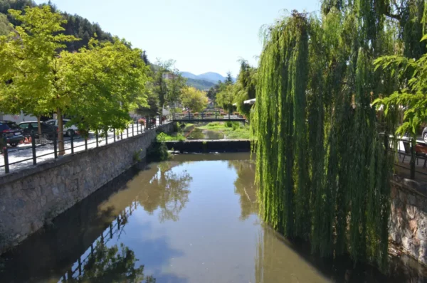 Serene river reflecting trees and mountains in Florina, Greece, with vibrant greenery and tranquil waters creating a peaceful scene.