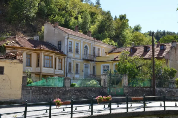 Charming architecture and lush greenery characterize Florina, Greece, showcasing vibrant historical buildings along a tree-lined street.