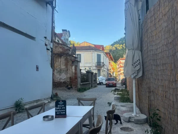 Charming alleyway in Florina, Greece, featuring a quaint café table and a black cat amid colorful buildings and lush greenery.
