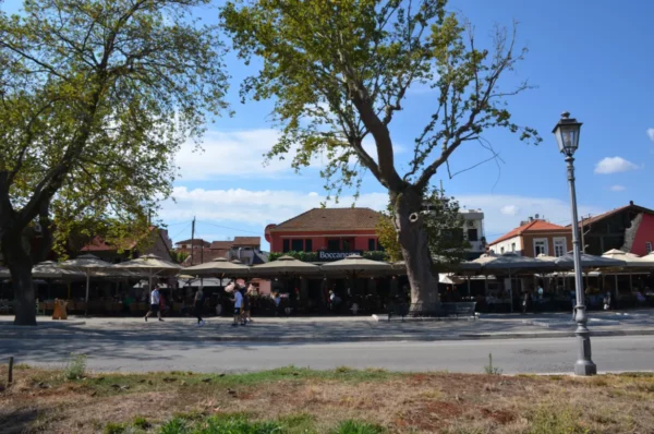 Lively outdoor cafe scene in Ioannina, Greece, featuring large trees, umbrellas, and colorful buildings under a clear blue sky.
