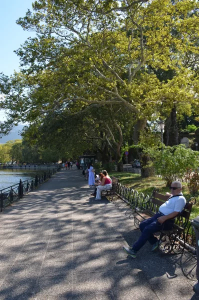 Relaxing by the waterfront, locals enjoy the shade of large trees along the promenade in Ioannina, Greece.
