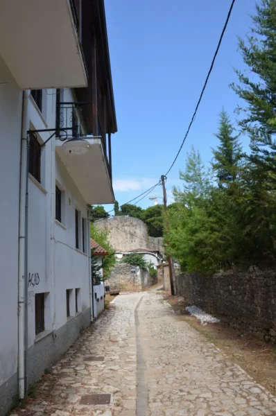 Charming cobblestone path lined with white buildings and greenery, leading towards historic structures in Ioannina, Greece.