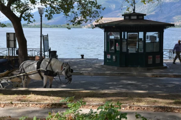 A horse stands near a gazebo by the water in Ioannina, Greece, framed by trees and mountains in the background.