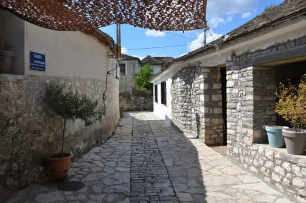 Charming stone pathway lined with traditional buildings and potted plants, leading through the serene streets of Ioannina Island, Greece.