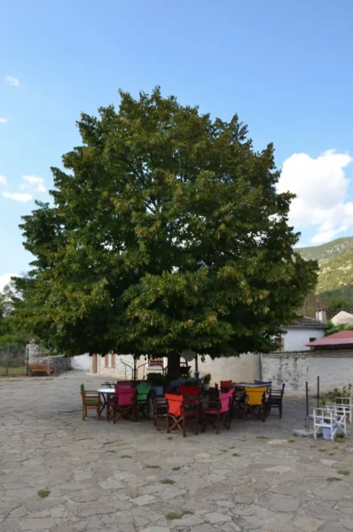 Vibrant chairs surround a large tree in a scenic square on Ioannina Island, Greece, showcasing a peaceful outdoor gathering spot.