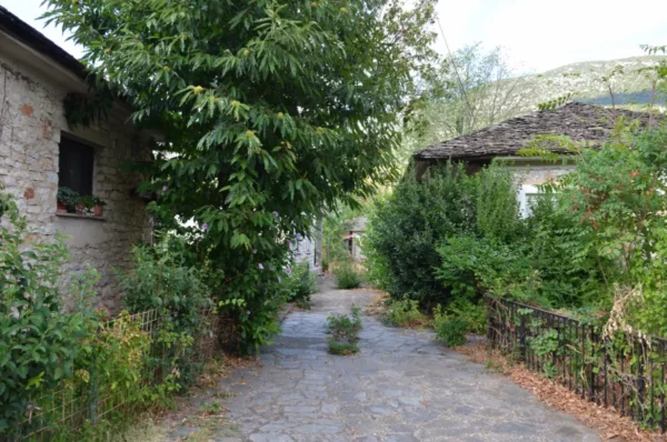 Charming stone pathway lined with lush greenery and trees on Ioannina Island, Greece, creating a peaceful ambiance.