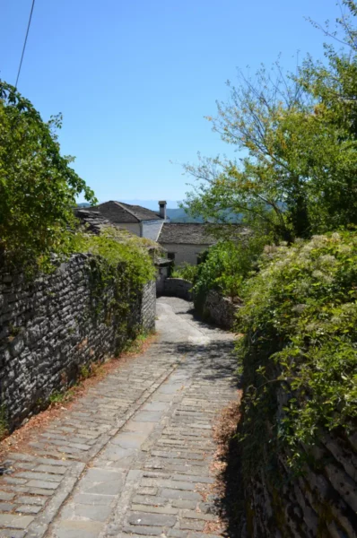 Cobblestone path winding through lush greenery in Koukouli, Zagorochoria, highlighting traditional stone architecture.